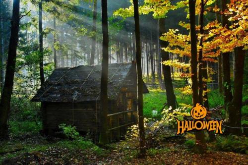 Halloween Al Parco Naturale Selva Reale - Ruvo Di Puglia
