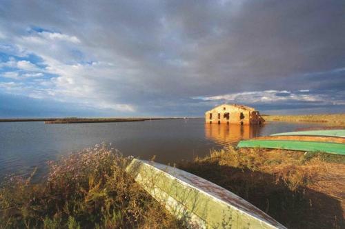 Natale Nel Parco Del Delta Del Po - Comacchio