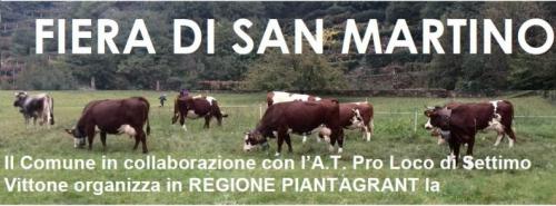 Fiera Di S.martino - Settimo Vittone