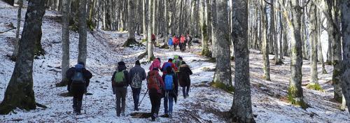 Finalmente Neve...si Ciaspola - Poppi