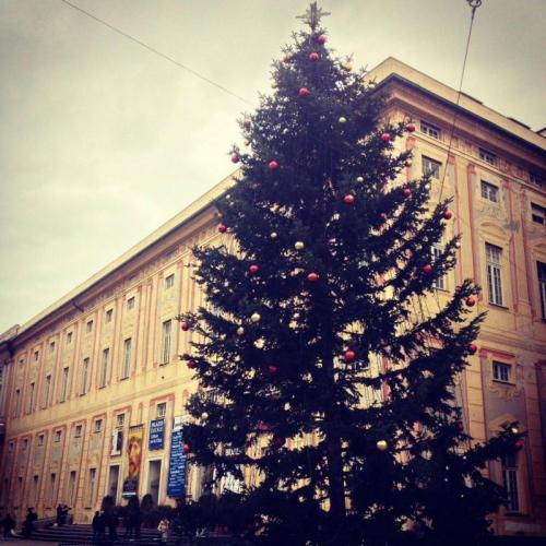 Capodanno A Palazzo Ducale - Genova