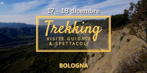 Regala Bologna Con Vitruvio - Bologna