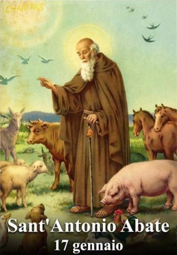 Festa Di Sant'antonio Abate - Mottafollone