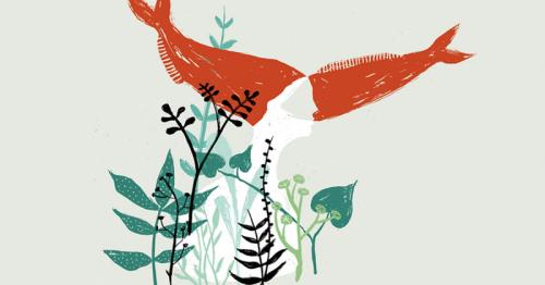 Giovani In Circolo - Viterbo