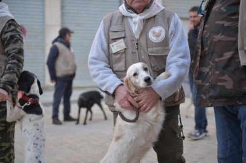Raduno Nazionale Dei Trifolau E Cani Da Tartufo - Canale