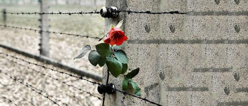 Giorno Della Memoria - Parma