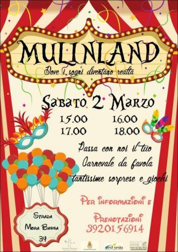 Festa Di Carnevale - Vigevano