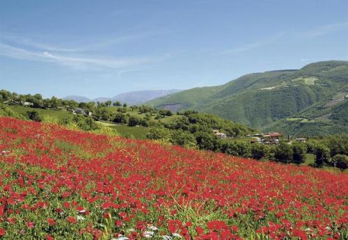 Eventi In Valnerina - 