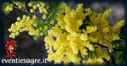 Festa Della Donna - Pistoia