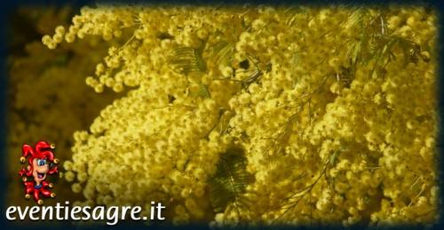 Festa Della Donna ...e Non Solo - Porto Viro