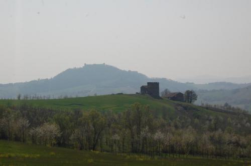 Tra Vino E Castelli - Santa Giuletta