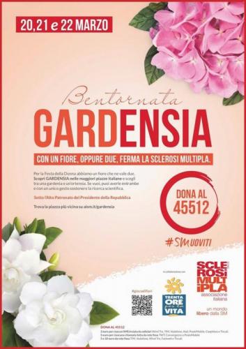 Festa Internazionale Della Donna - Siracusa