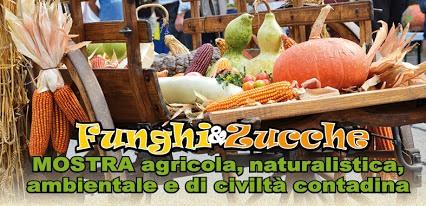 Funghi E Zucche - Vergiate
