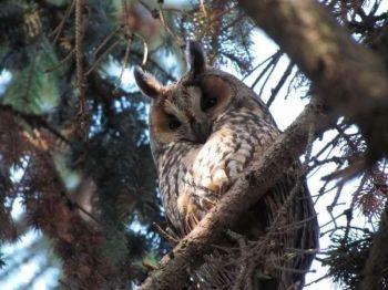 Eventi Al Parco Dello Stirone E Del Piacenziano - Salsomaggiore Terme