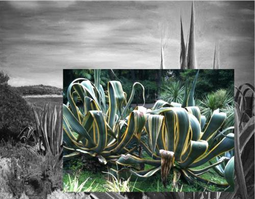 Milano Design Week - Milano