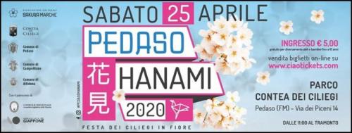 Hanami - Pedaso