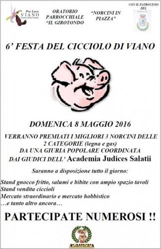 Festa Del Cicciolo - Viano