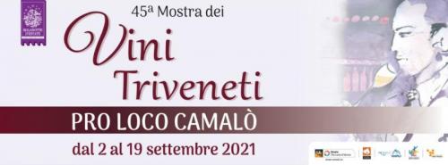 Mostra Dei Vini Triveneti - Povegliano