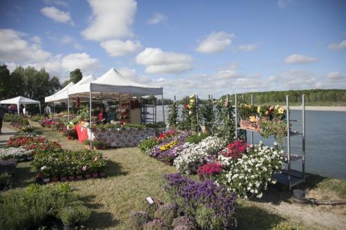 Georgica - Guastalla