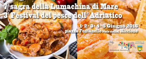 Sagra Della Lumachina Di Mare  - Riccione