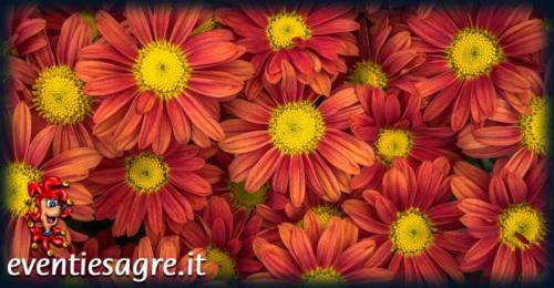 Tortoli' In Fiore - Tortolì