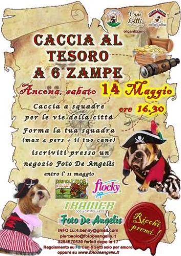 Caccia Al Tesoro - Ancona