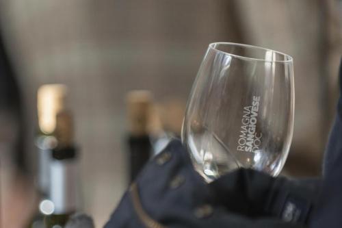 Vini Ad Arte - Imola