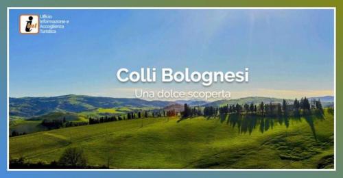 Eventi E Iniziative Del Fine Settimana - 