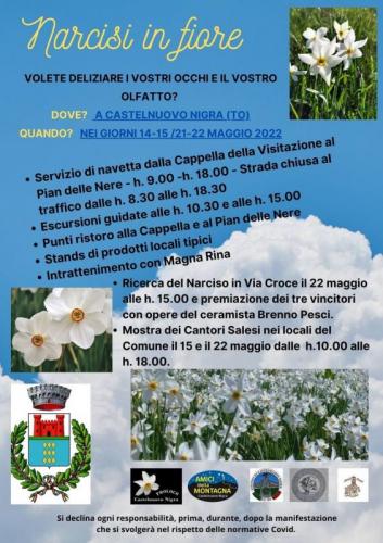 Sagra Del Narciso - Castelnuovo Nigra