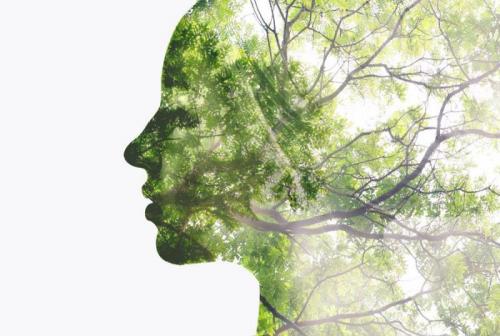 Festa Dell'ambiente A Noale - Noale