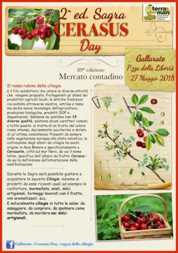 La Sagra Della Ciliegia A Gallarate - Gallarate