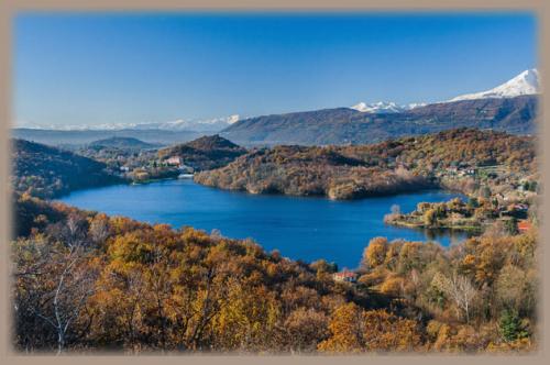 Wild Art Festival - Chiaverano