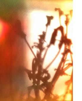 Collettiva Del Gruppo Boiler - Venezia