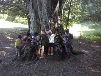 Parco Dei Cento Laghi - Tizzano Val Parma