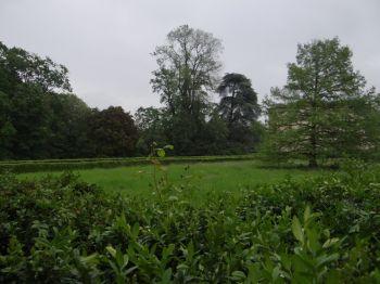 Parco Boschi Di Carrega - Sala Baganza