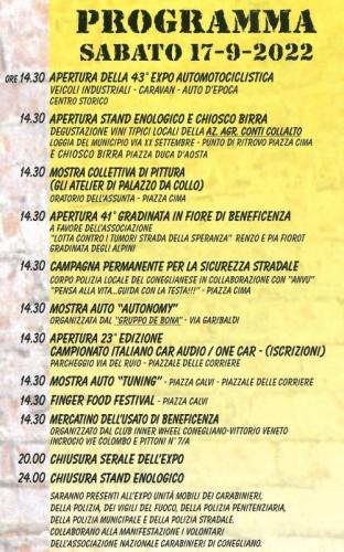 Expo Auto E Veicoli Industriali A Conegliano - Conegliano