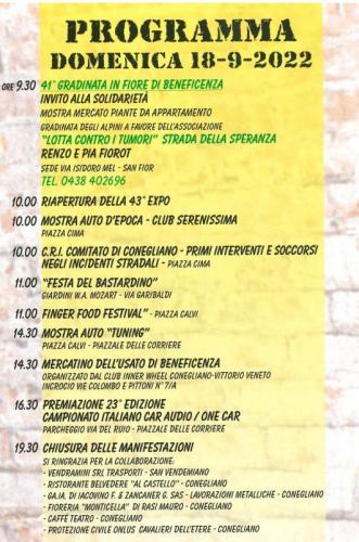 Expo Auto E Veicoli Industriali A Conegliano - Conegliano