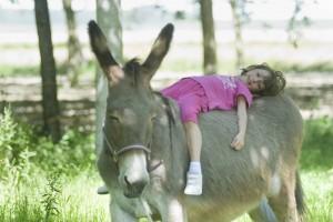 Festa Di Inizio Estate - Gussola