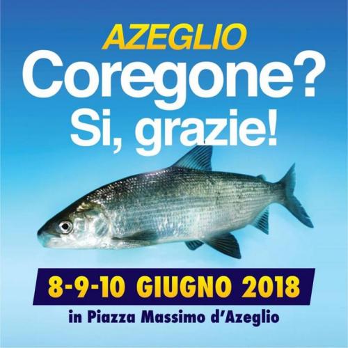 Coregone? Sì, Grazie! - Azeglio