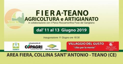 Fiera Di Teano Fiera Di Sant'antonio - Teano