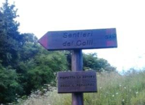 E'coinvolgente!... - Pederobba