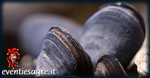 Sagra Della Cozza - Sant'antonio Di Gallura