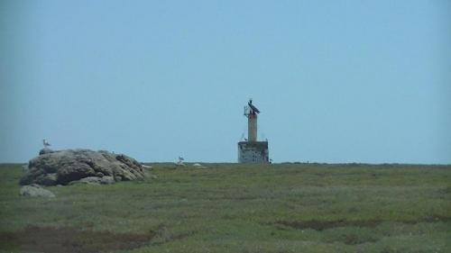 Escursione All'isola Di Mal Di Ventre - Cabras