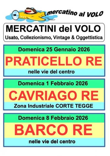 Mercatino Del Riuso A Bibbiano - Bibbiano