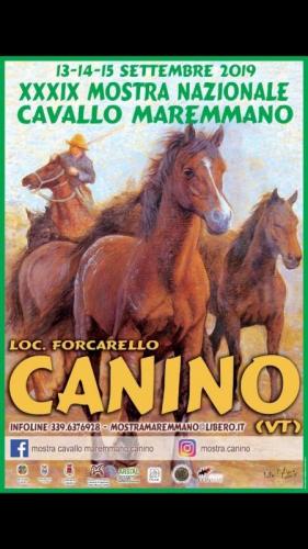 Mostra Nazionale Del Cavallo Maremmano - Canino