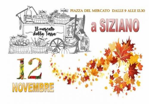 Mercatino Degli Agricoltori - Siziano