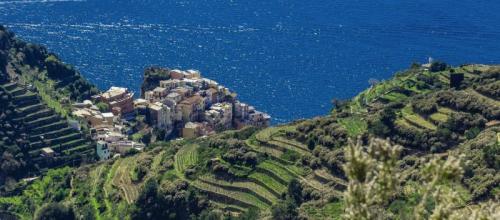 Vini Da Terre Estreme - Venezia