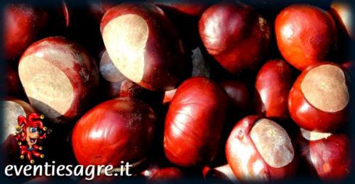 Festa D'autunno Ad Osimo - Osimo