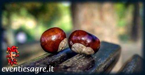 Castagnata A Morimondo - Morimondo