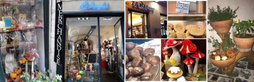 Mostra Micologica - Spoleto